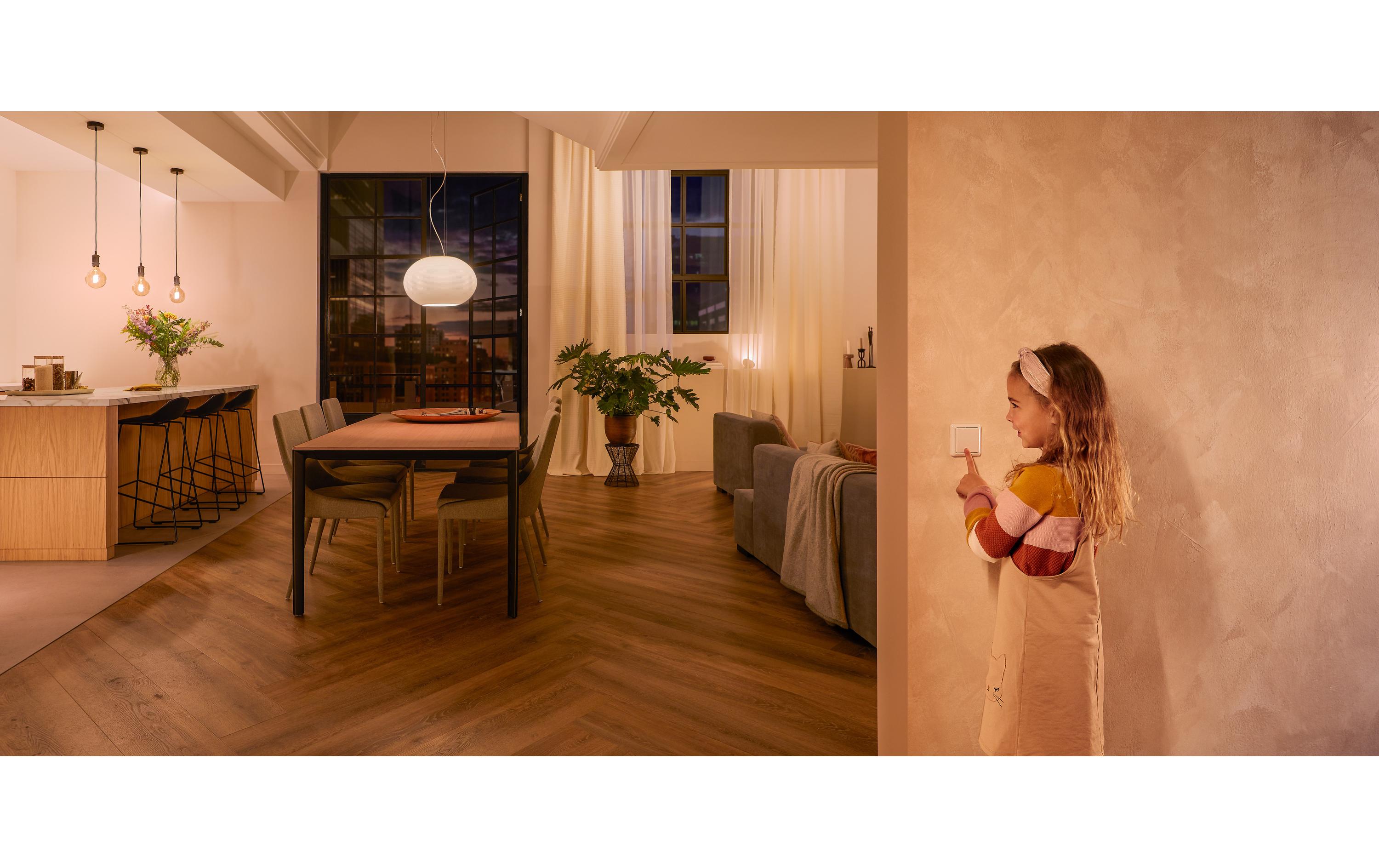 Zubehör Wandschalter ModulWandschalter Modul für Hue Lichtsysteme