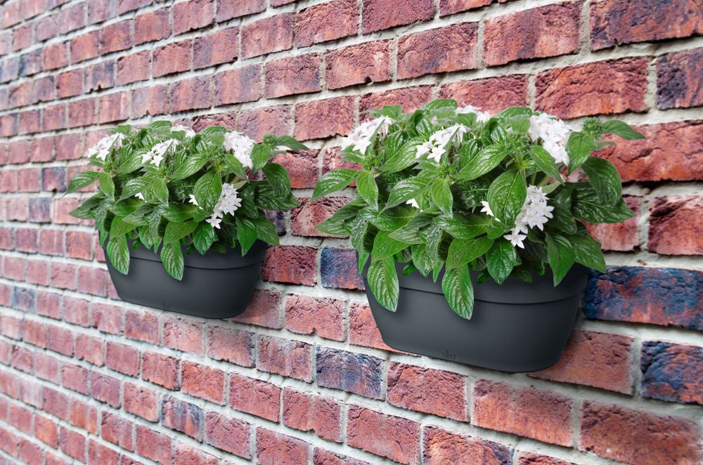 Elho muur plantenbak Vibia Campana antraciet 35 x 16,2 x 14,8 cm
