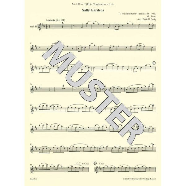 Bärenreiter combocom Irish