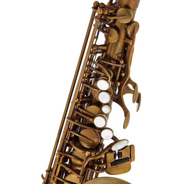 Schagerl Alto Sax 66FV-EC