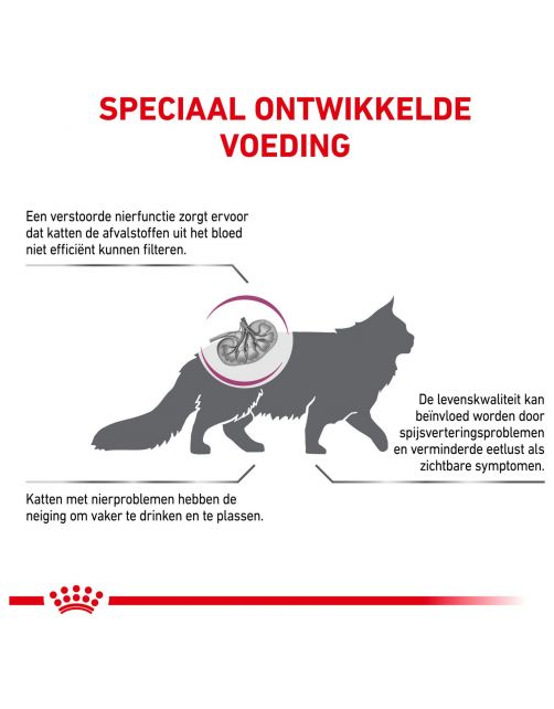 Royal Canin Veterinary Diet Cat Renal Special - Kattenvoer - 400 g