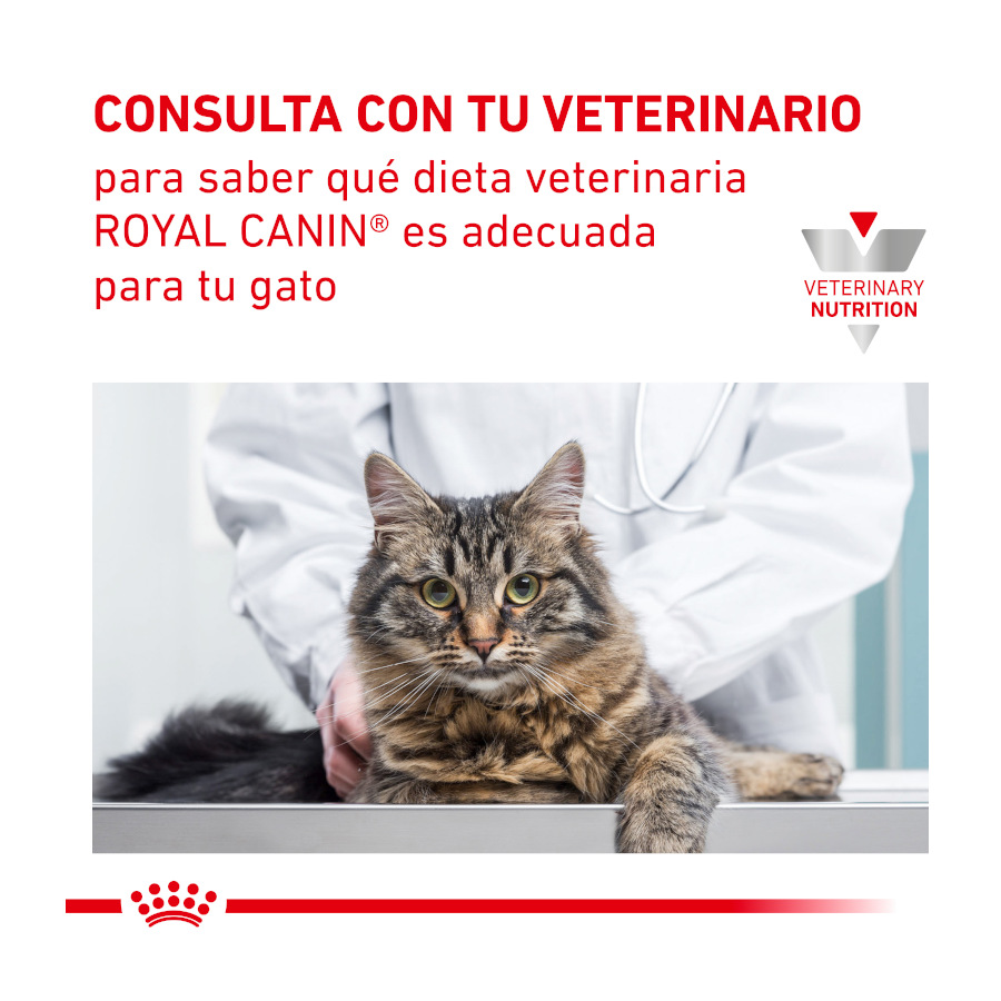 Sachê de Mousse Urinária Veterinária para Gatos Adultos Royal Canin