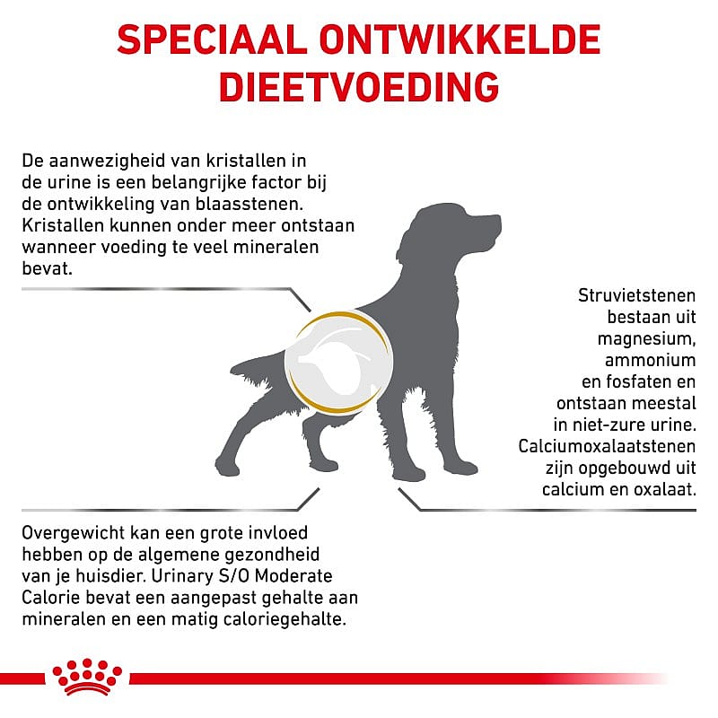 Royal Canin Urinary SO Moderate Calorie Hond Dieetvoeding ter ondersteuning van de urinewegen bij honden met neiging tot overgewicht of na castratie/ sterilisatie