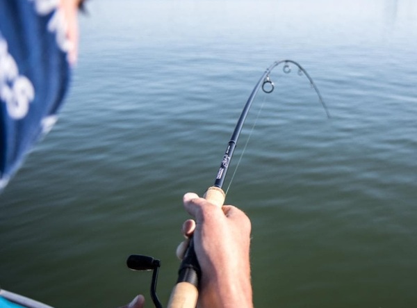 Canne à appât mort Patriot Ace Deadbait 12ft/3.64m (2.75lb)