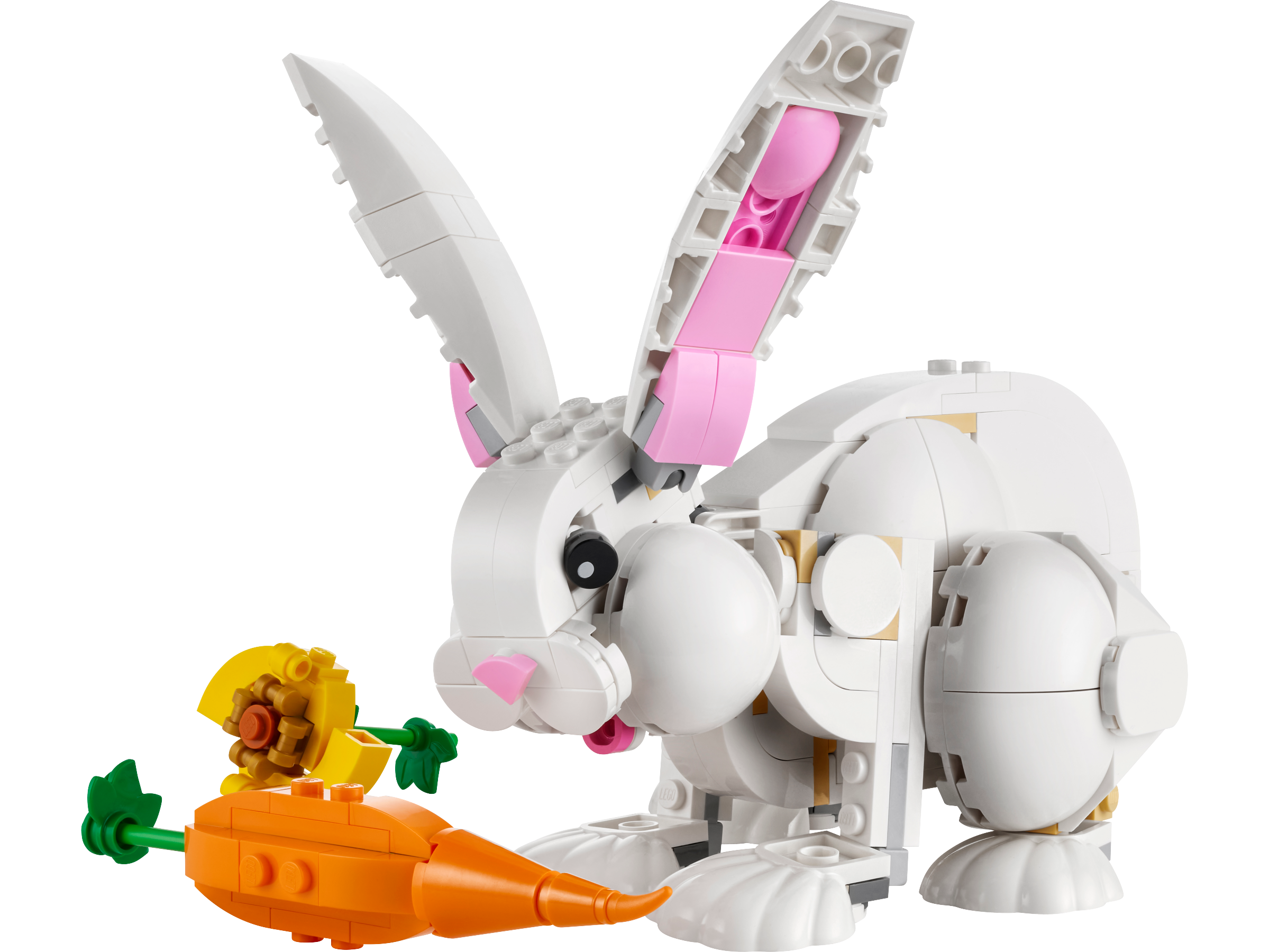 Coelho Branco 31133