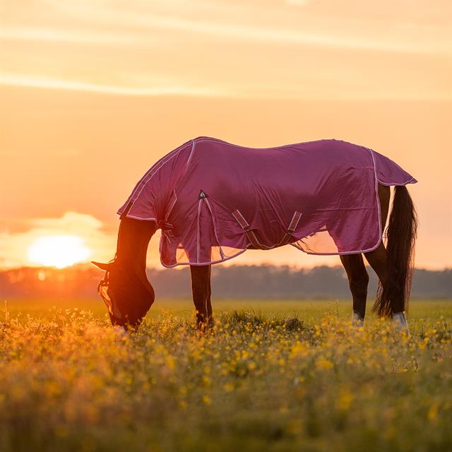 Vliegendeken Epplejeck EJSummertime Full Neck Roze