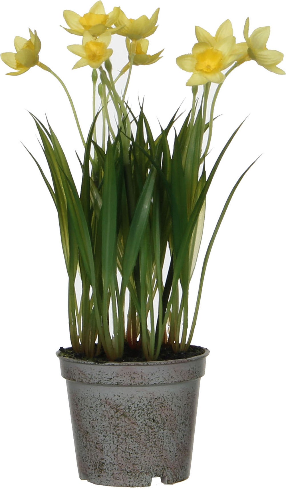 Mica Decorations kunstplant Narcis 8,5 x 8,5 x 26 cm