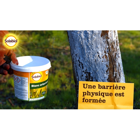 Blanc arboricole 3 litres Solabiol