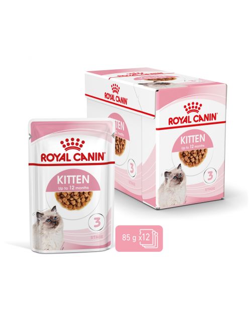 Royal Canin Kitten - In Gravy - Kitten-Kattenvoer - 85 g Bonuspack