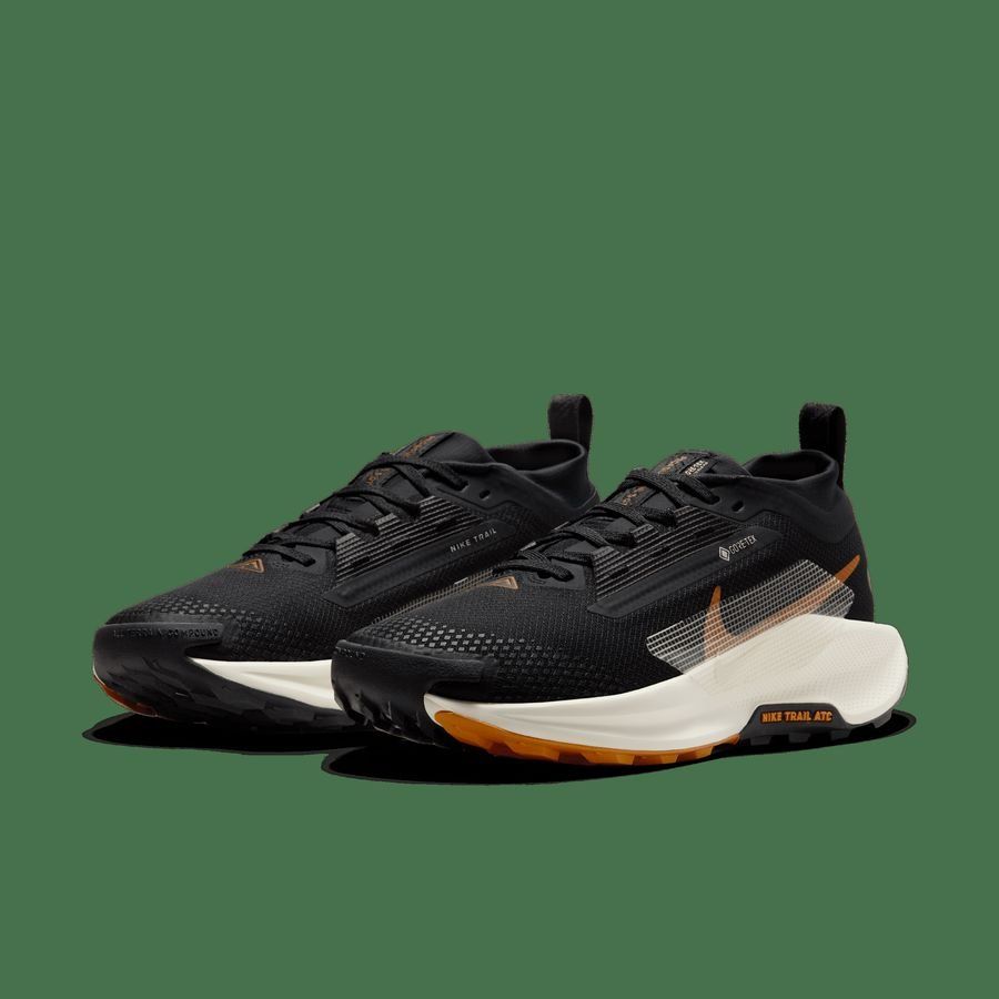Nike Pegasus Trail 5 GORE-TEX