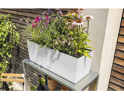 Lechuza Balconera Stone 50 bloembak, kwartswit