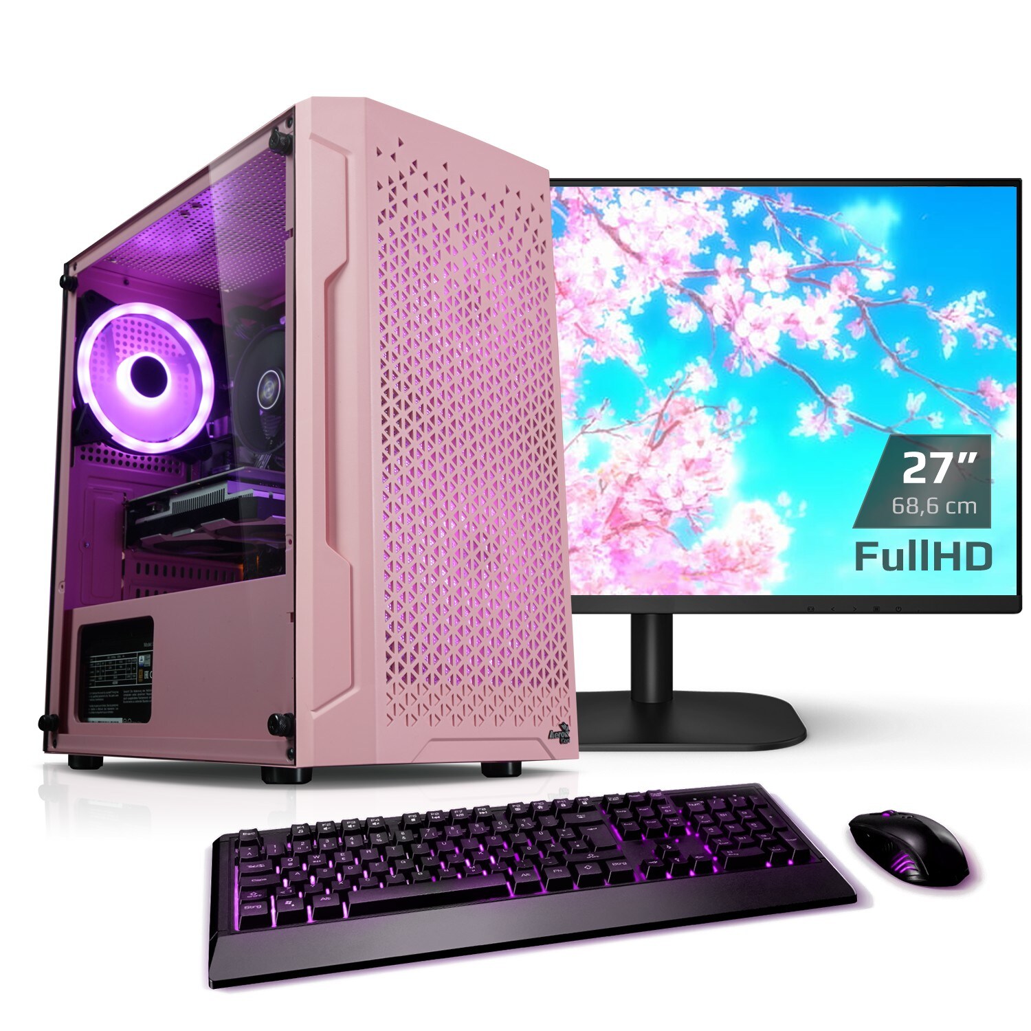 PC Set Gaming mit 27 Zoll TFT Zindarella V AMD Ryzen 5 5500, 16GB DDR4, NVIDIA RTX 4060 8 GB, 1TB SSD, WLAN, Windows 11