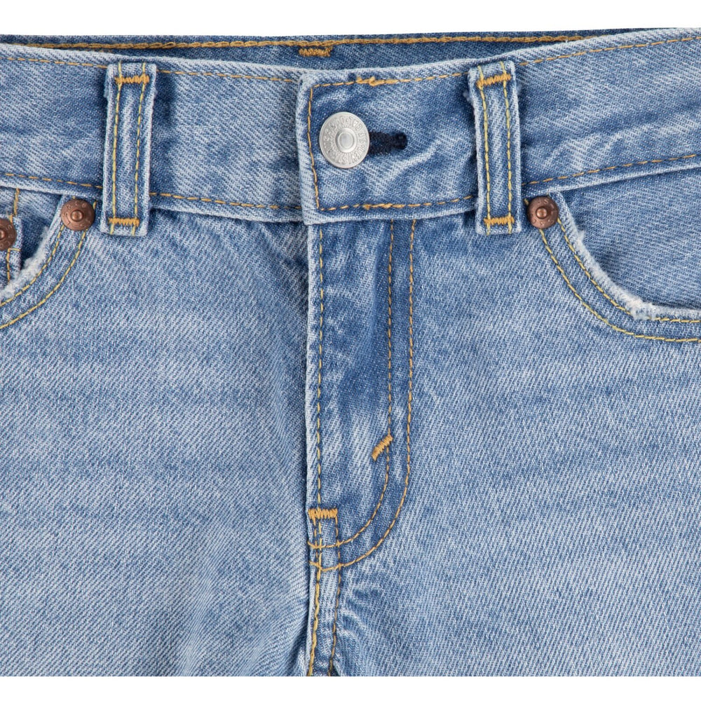 Køb Levi's From Scratch No Destruction Lvb Skate Shorts
