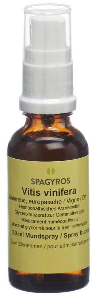 Spagyros Vitis vinifera Glyc Maz 1 D Spr 30 ml