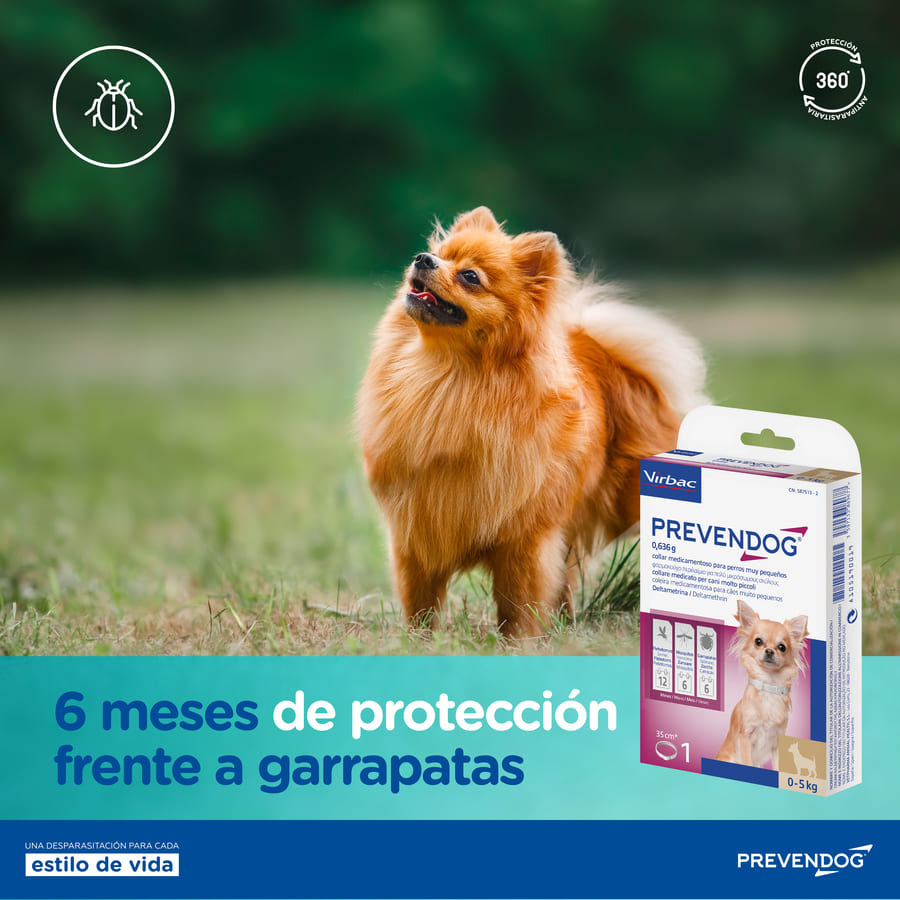 Coleira antiparasitária Virbac Prevendog para cães de pequeno porte.