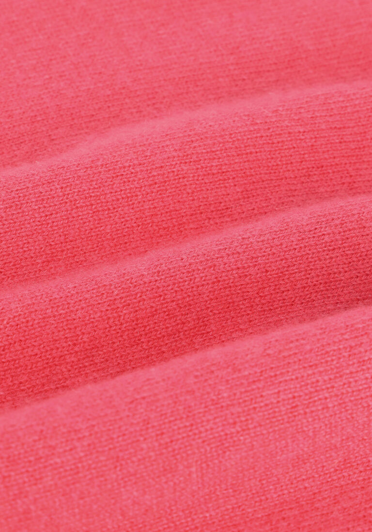 NOT SHY roze not shy trui aimee