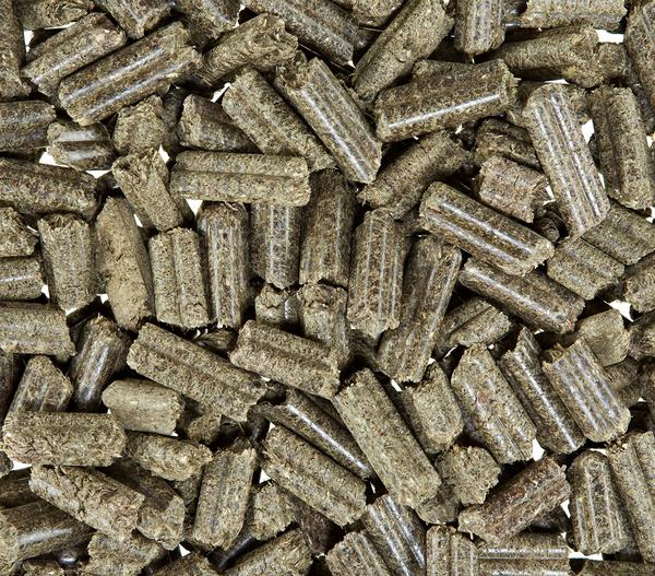 bunny® NATURE Kaninchenfutter KaninchenTraum