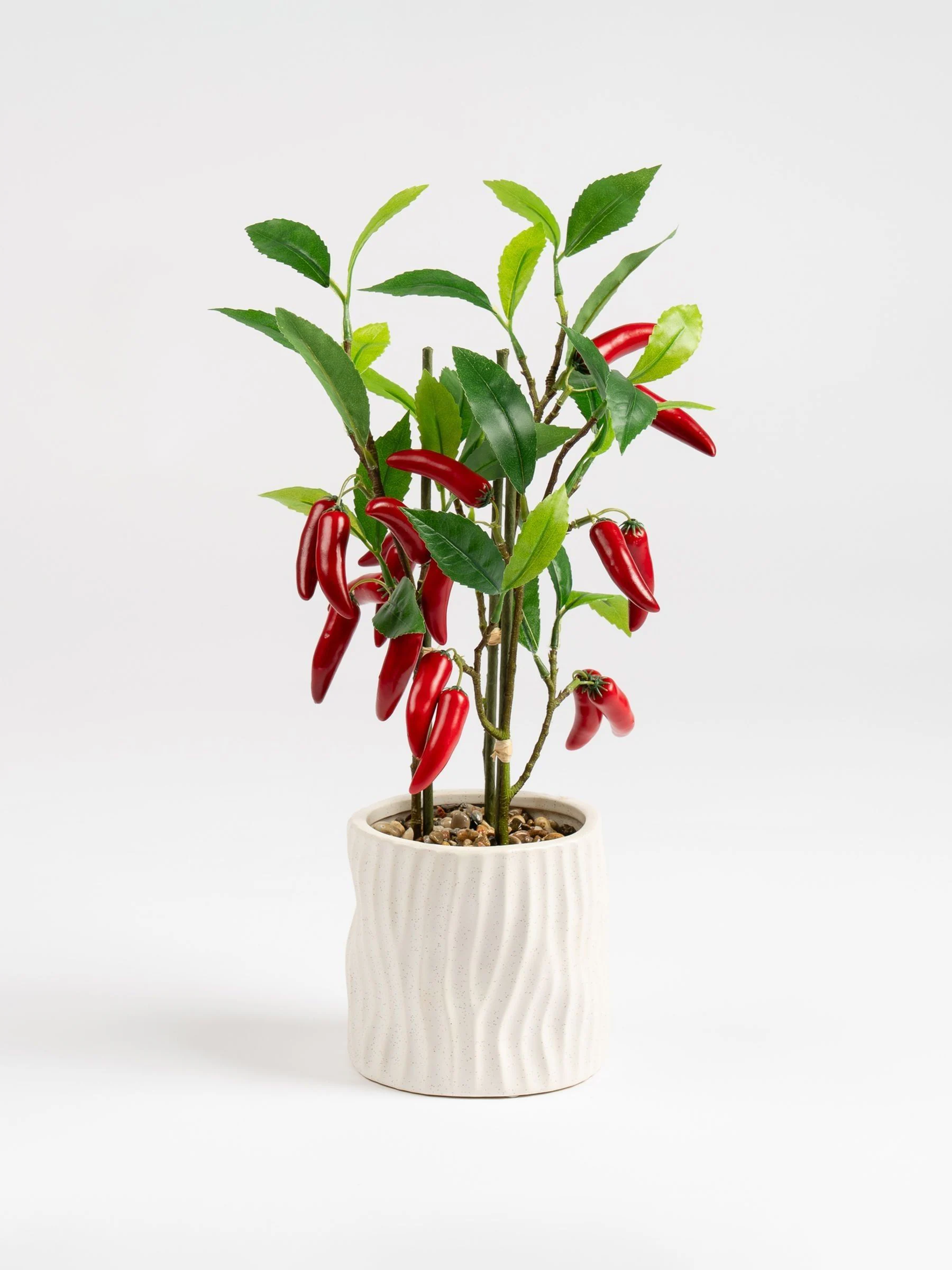 Scottish Everlastings Ltd Artificial Chilli Plant in Ceramic Pot