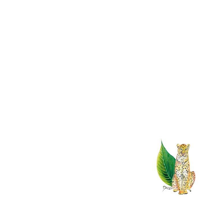 Paperclip | Verjaardagskaart | Wild birthday