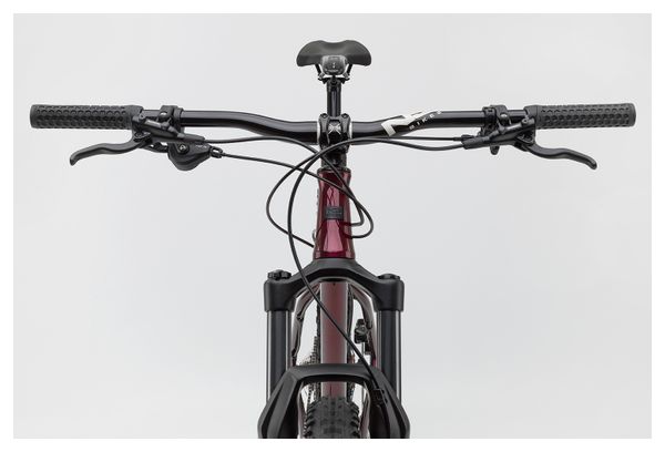 VTT Semi-Rigide NS Bikes Eccentric Cromo Shimano Deore M6100 12V 29'' Rouge Foncé