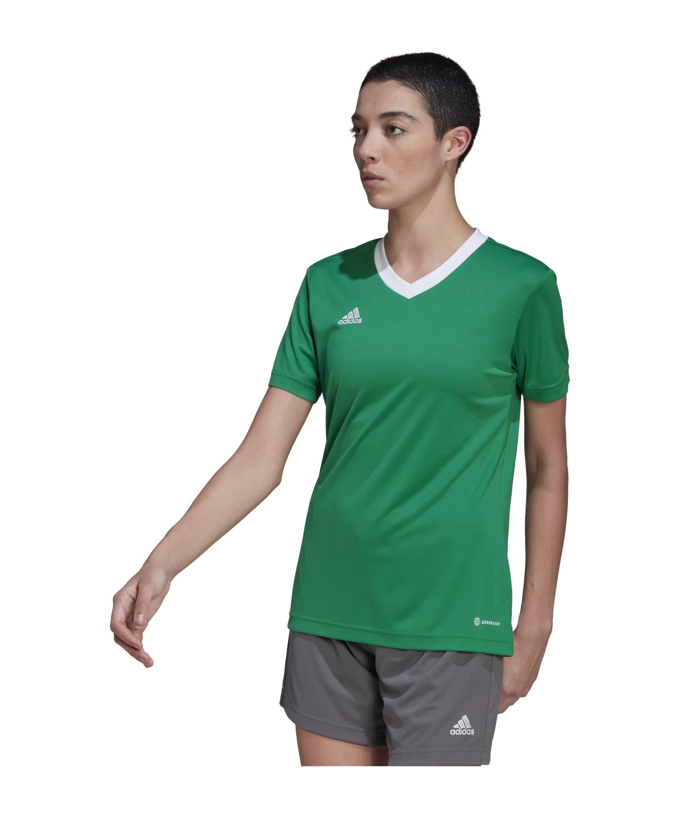 adidas Entrada 22 Trikot Damen Grün