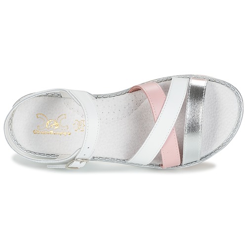 Citrouille et Compagnie - IZOEGL - Blanc / Rose / Argent