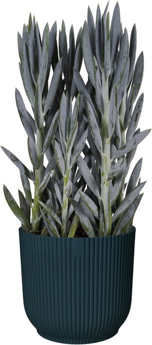 Elho bloempot Vibes blauw D 25 H 23 cm