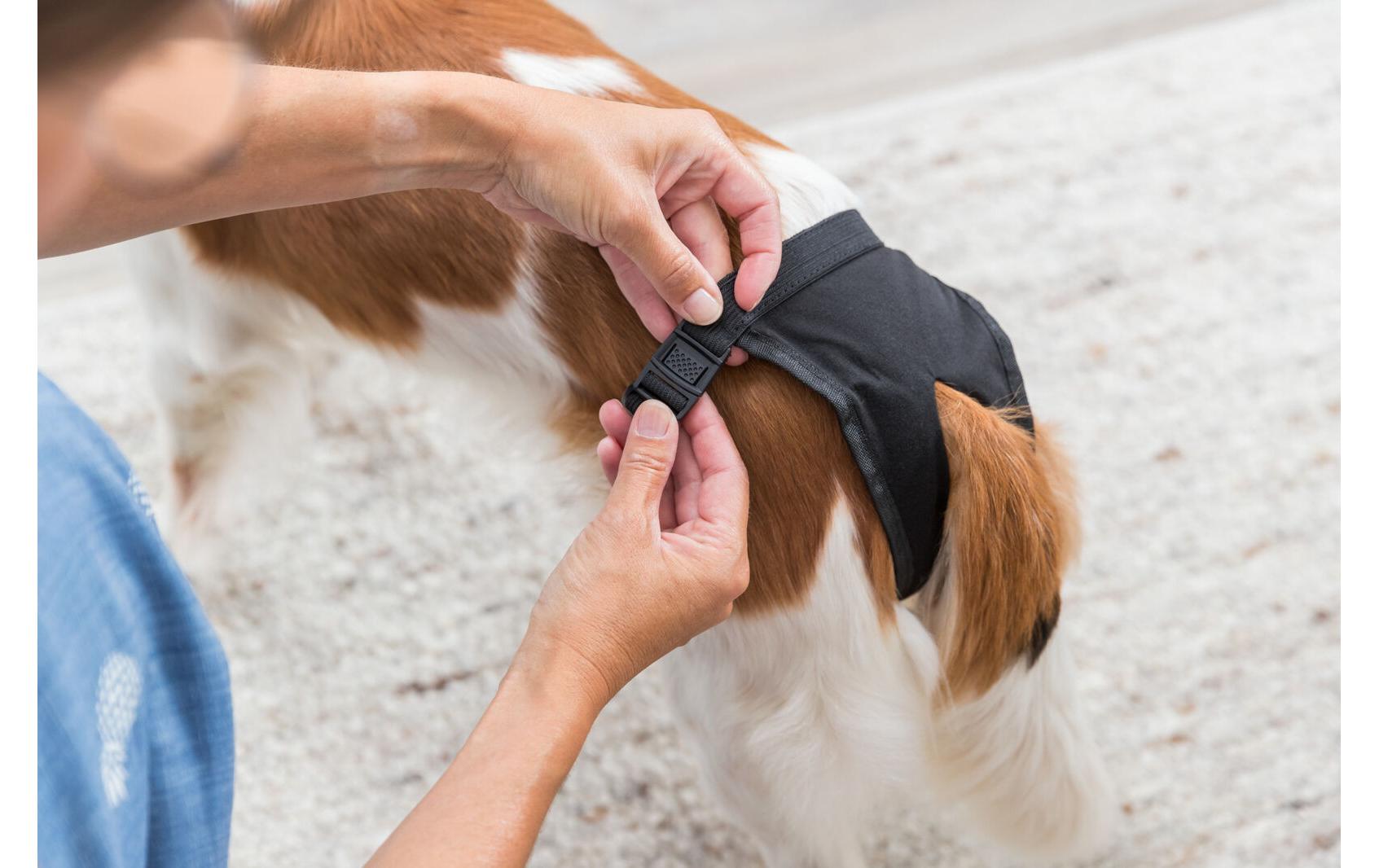 Hunde-Schutzhöschen de Luxe L, Schwarz, 50-59 cmSchutzhöschen für Hunde