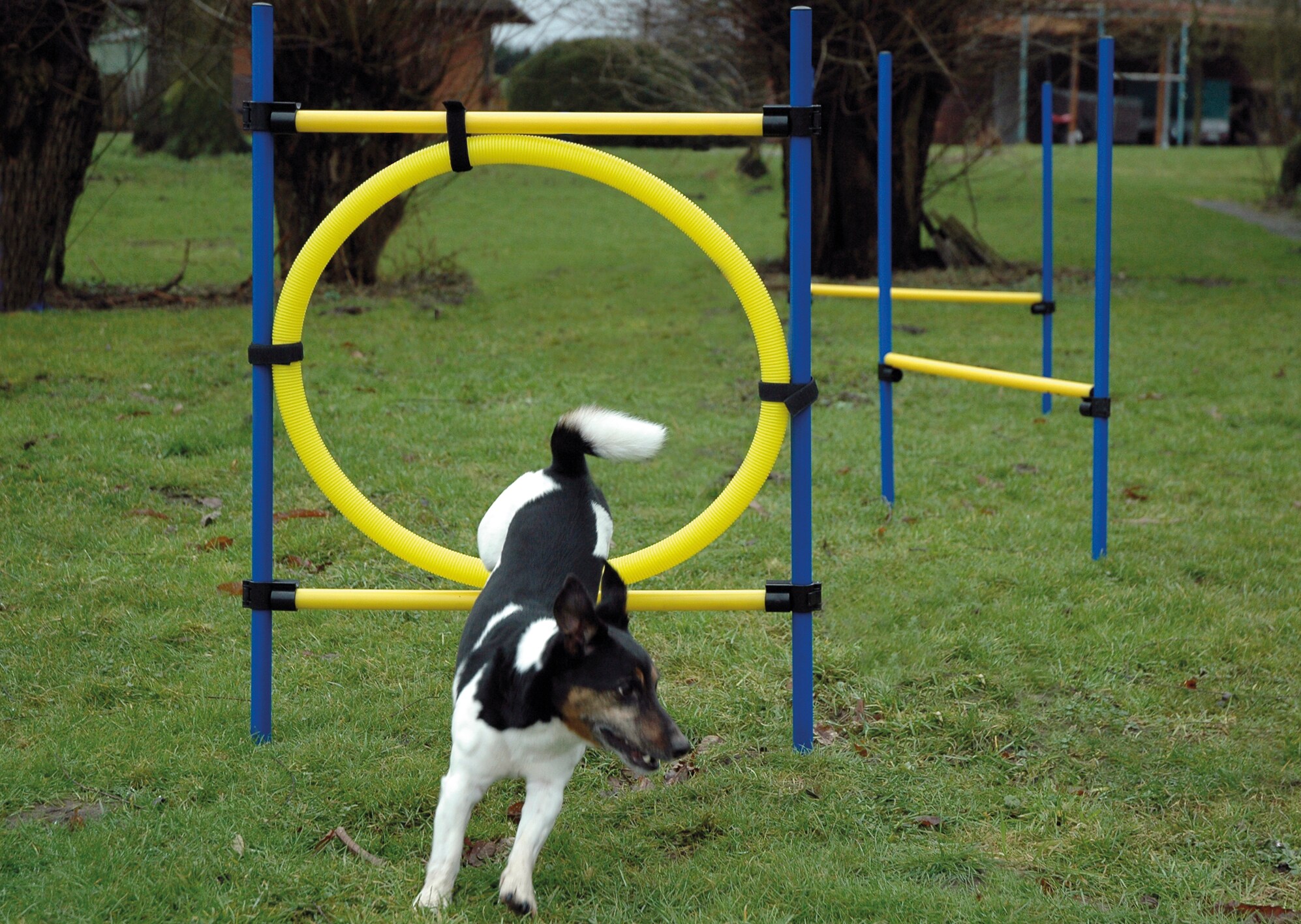 3-teiliges Agility Sprung-Set, mit 2 Hürden und Sprungreif
