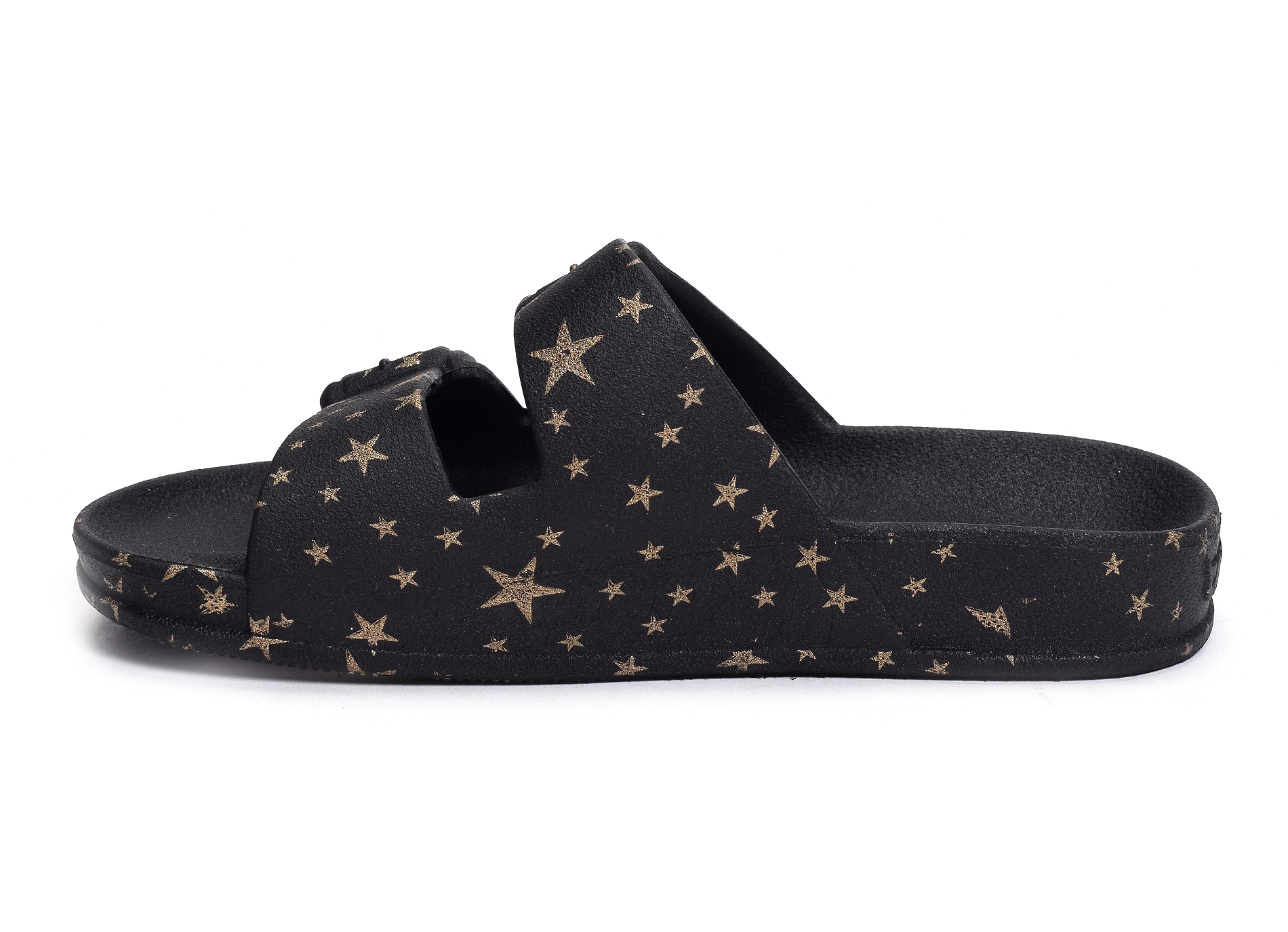 Astromelia noir