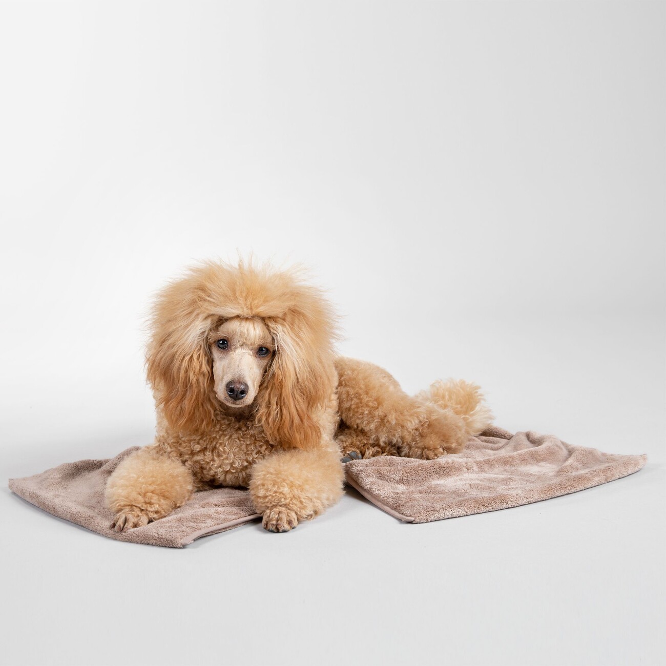Paikka Drying Towel 40x110cm taupe taupe