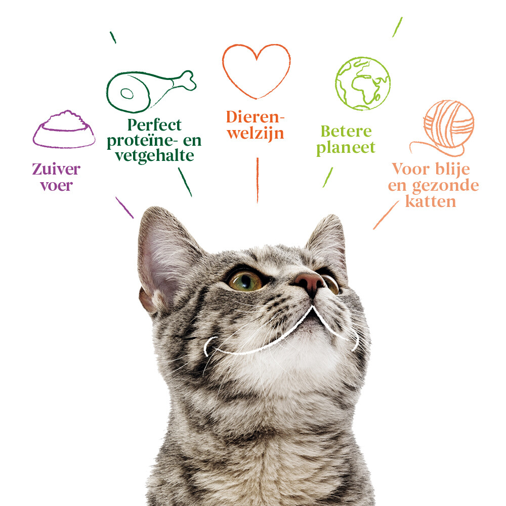 Yarrah Bio Kattenvoer Adult Kip2,4 kg