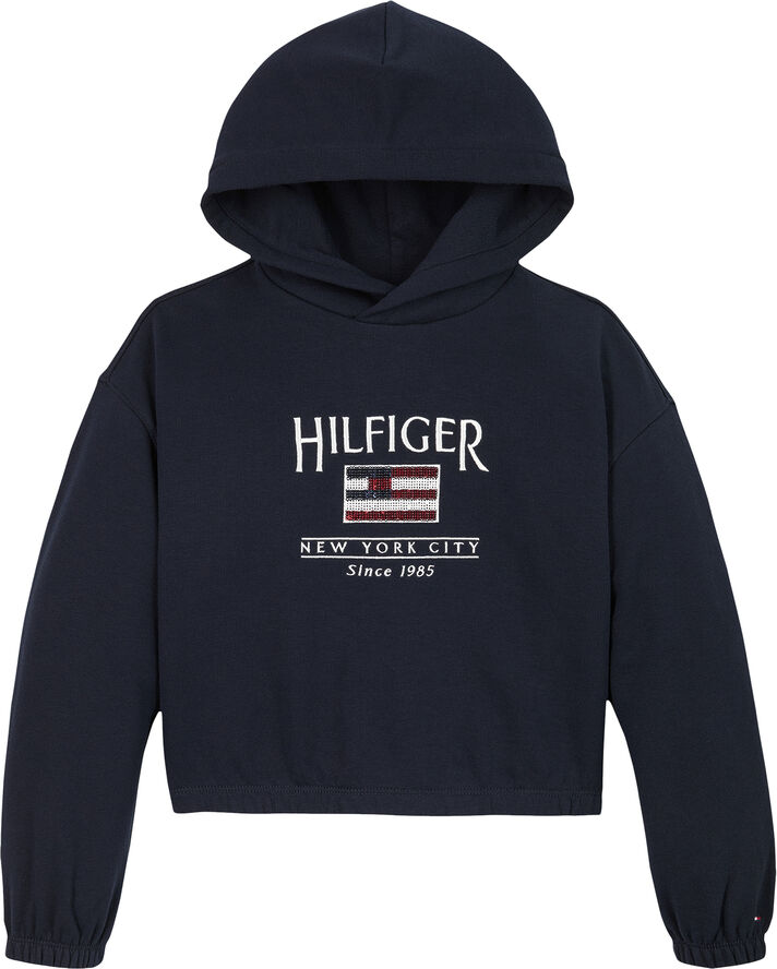 Tommy Hilfiger HILFIGER SEQUIN FLAG HOODIE Dark night navy