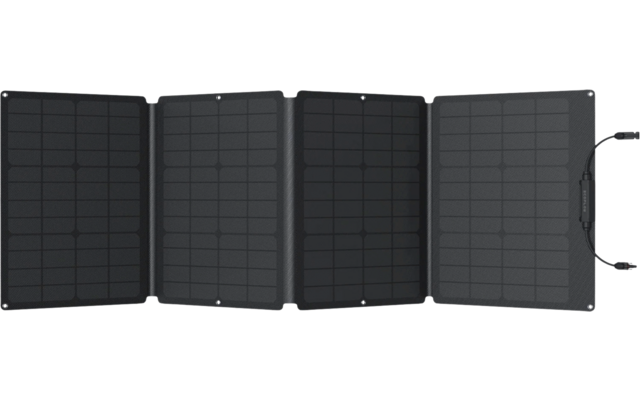 EcoFlow Tragbares Solarpanel 110 W