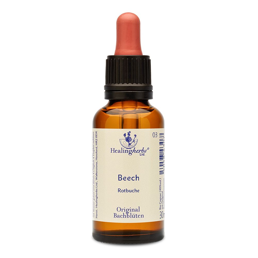 Healing Herbs Beech Original Bachblüten Tropfen