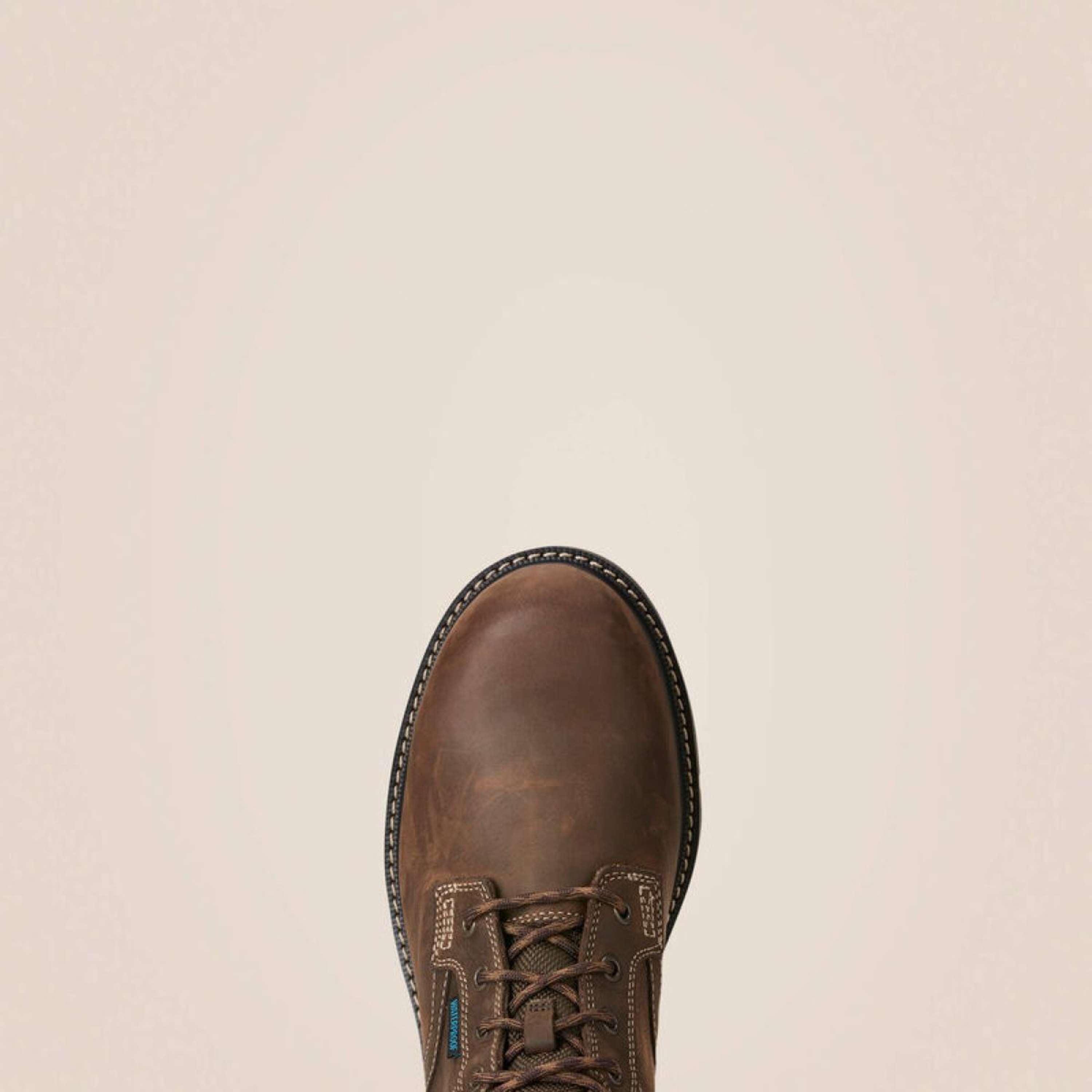 Ariat Outdoorschoenen Groundbreaker Lace Steel Toe Waterproof Heren Do