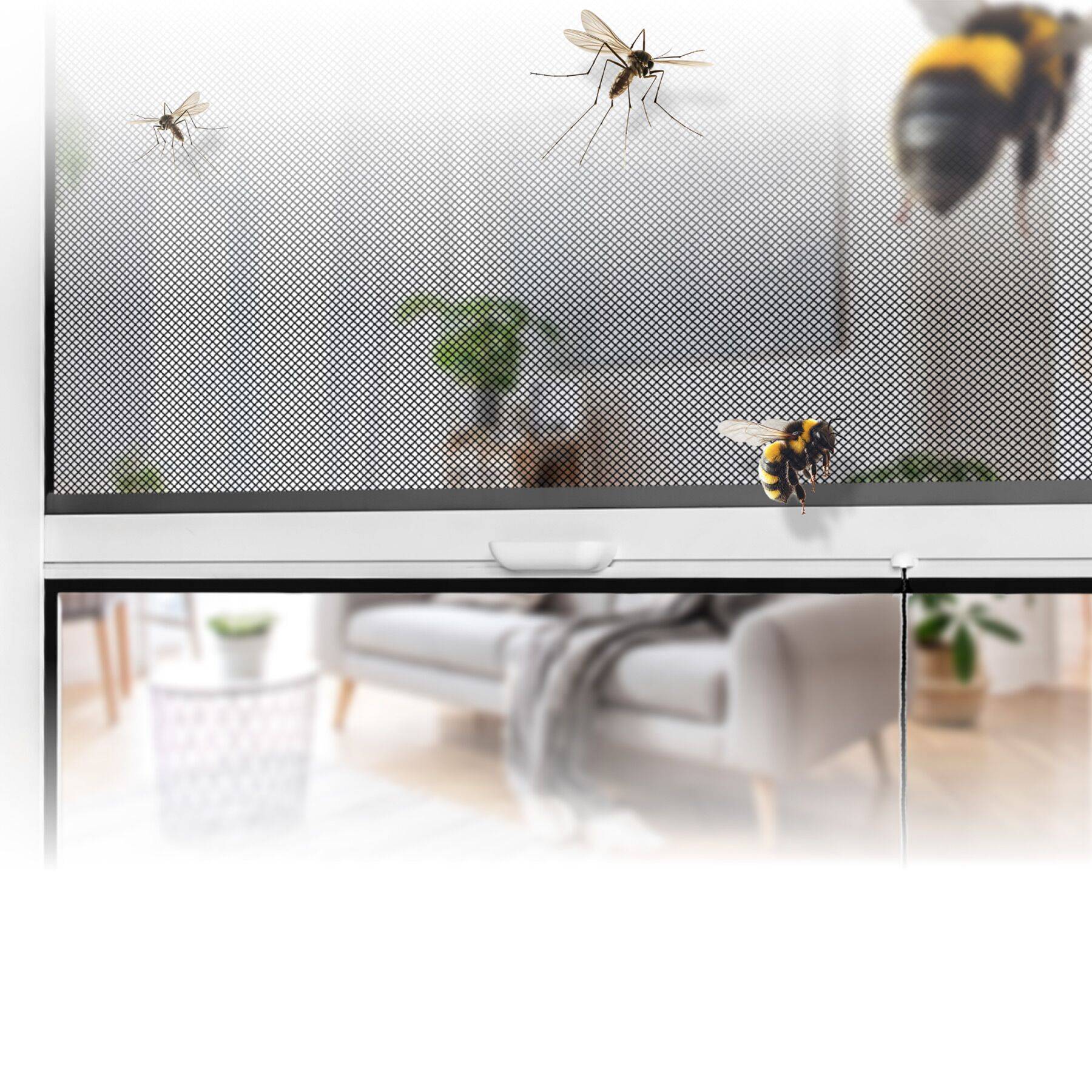 Insektenschutzrollo