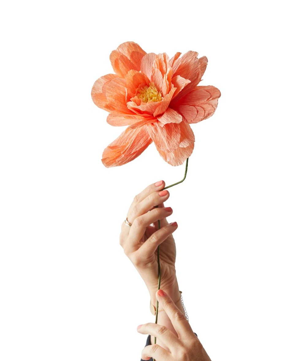 Studio About  Grand Peony papirblomst - Peach