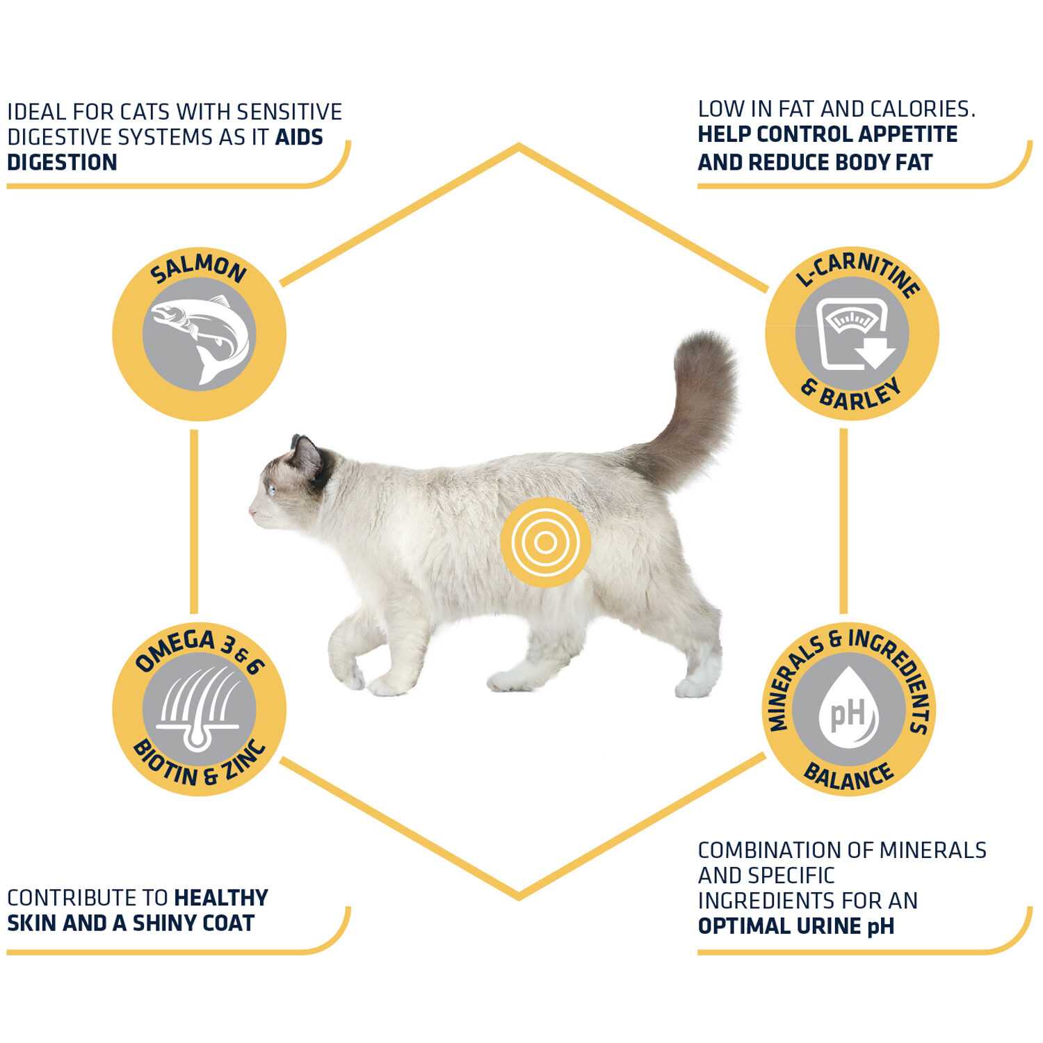 Affinity Advance Sterilized Salmon Sensitive - Kat