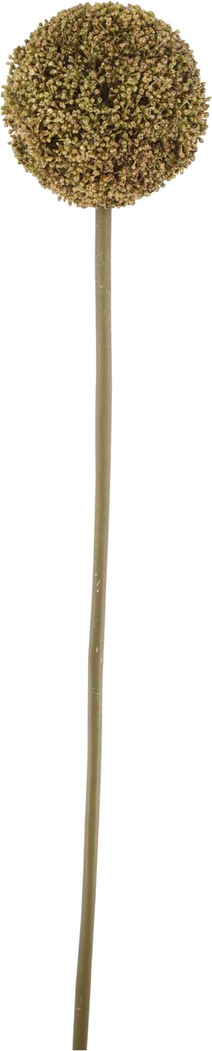 Dijk Natural Collections kunstbloem Allium bruin D 13 H 78 cm