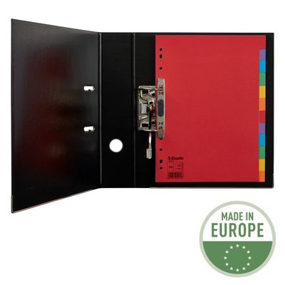 Esselte - Intercalaire 12 positions - A4 - carte recyclée colorée
