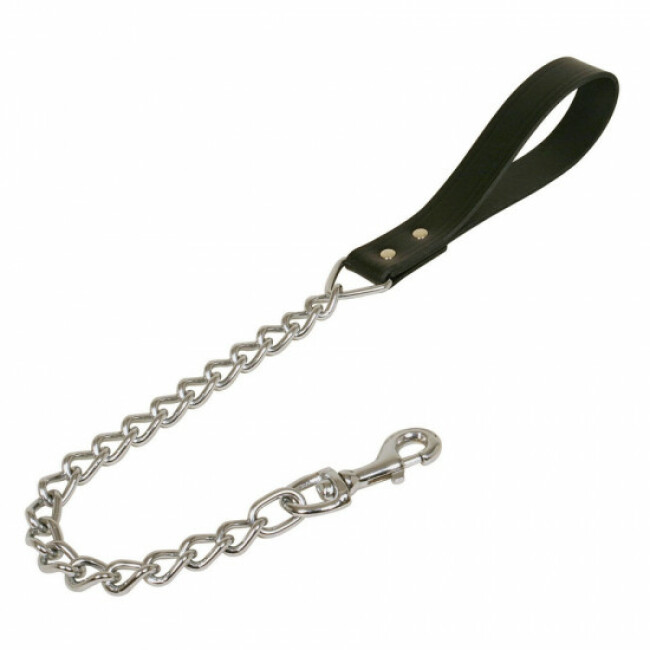 Laisse 1 m avec chaînette fine chromée pour chien