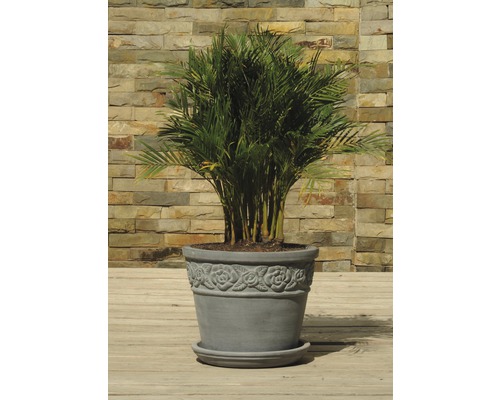 Lafiora Terracotta Schotel Ø 30 cm Grijs
