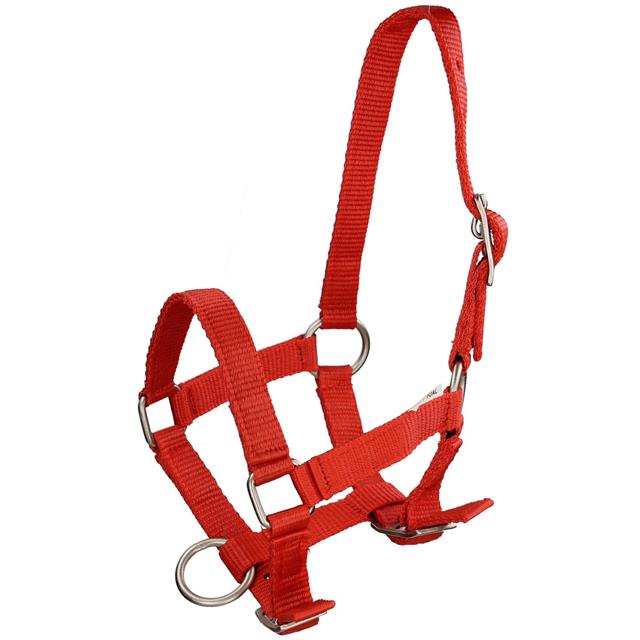 Veulenhalster Q-Essentials Mini Rood