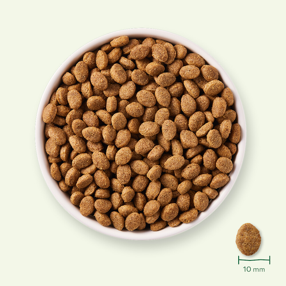 Yarrah Bio Hondenvoer Senior Kip2 kg
