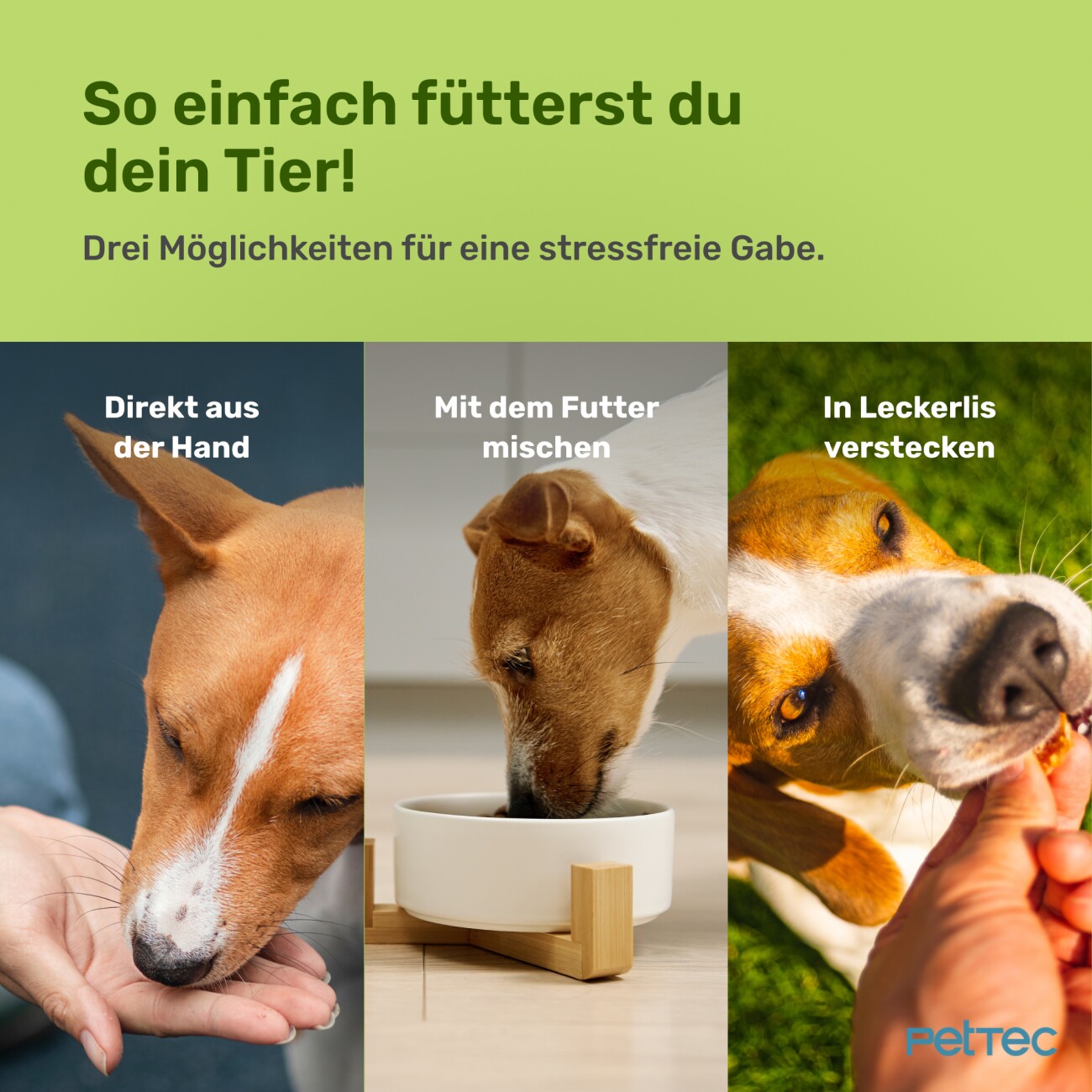PetTec Gelenktabletten mit MSM