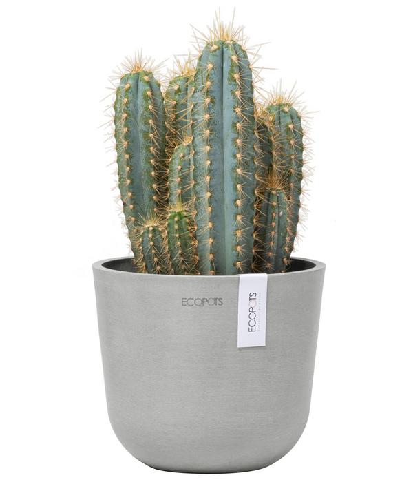 Ecopots Kunststoff-Topf Oslo Mini, rund