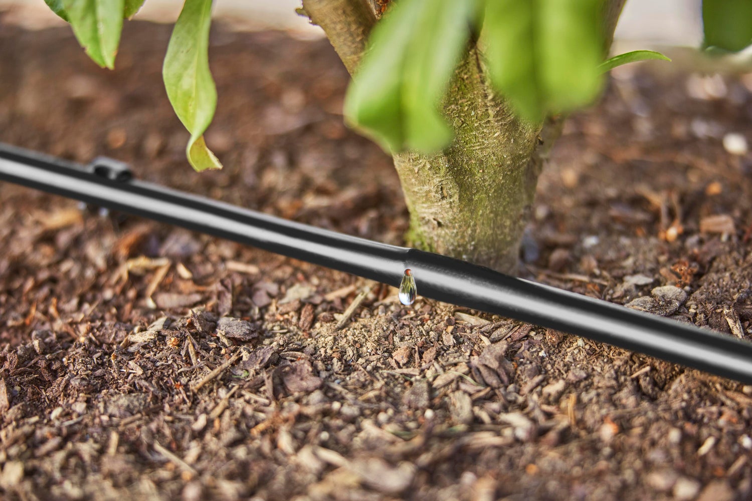 Gardena Micro Drip systeem druppelaar startset heggen en struiken 25 m