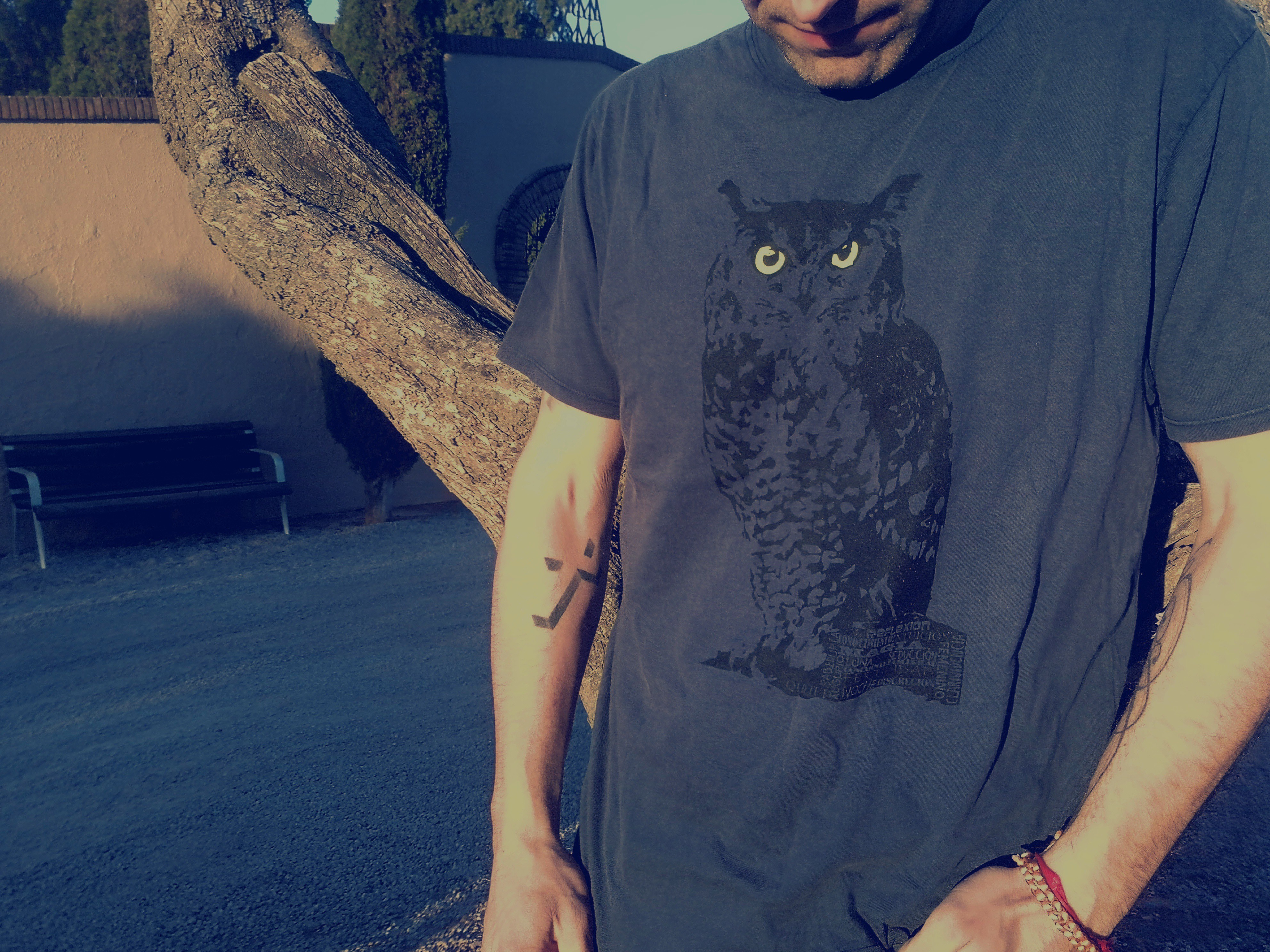Camiseta masculina com estampa de coruja azul, totem animal.