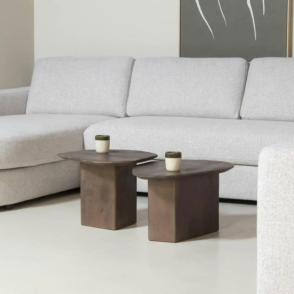 Salontafel Mangohout Bruin - Set Van 2 - 70x60x35cm - Jinte